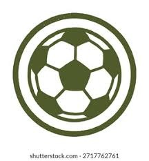 WCBA：山东高速女篮主场85—76轻取武汉女篮